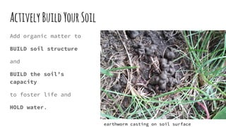 ActivelyBuildYourSoil
Add organic matter to
BUILD soil structure
and
BUILD the soil’s
capacity
to foster life and
HOLD wat...