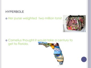 hyperboleHer purse weighted  two million tons!Cornelius thought it would take a century to get to Florida.