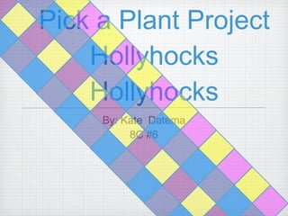 Pick a Plant Project Hollyhocks Hollyhocks ,[object Object],[object Object]