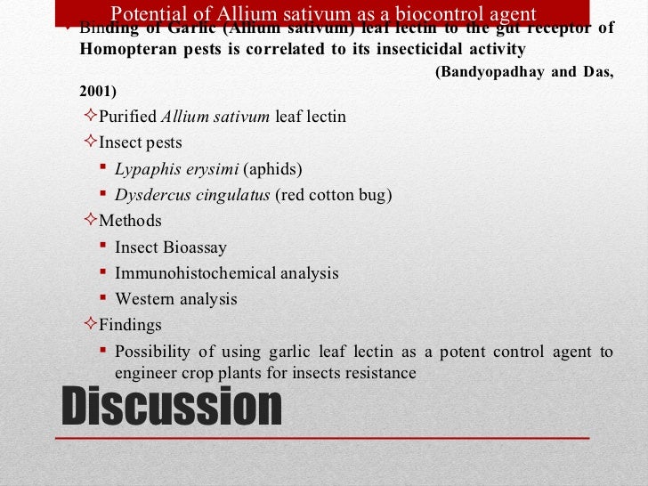 the feasibility of garlic allium sativum 1 problem statement the output will consist in a feasibility study on the adoption of a cryopreservation of apical meristems of garlic (allium sativum l). the feasibility of garlic allium sativum 1 problem statement the output will consist in a feasibility study on the adoption of a cryopreservation of apical meristems of garlic (allium sativum l).