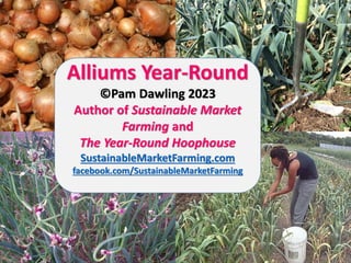 Alliums
Year-Round
Alliums Year-Round
©Pam Dawling 2023
Author of Sustainable Market
Farming and
The Year-Round Hoophouse
SustainableMarketFarming.com
facebook.com/SustainableMarketFarming
 