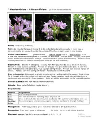 * Meadow Onion – Allium unifolium

(AL-ee-um yoo-nee-FOH-lee-um)

Family: Liliaceae (Lily Family)
Native to: Coastal Ranges of Central & N. CA to Santa Barbara Co.; usually in moist clay or
serpentine soils, on grassy streambanks and sea cliffs, often in open areas in pine forests.

perennial bulb
mature height: 1-3 ft. mature width: 1-3 ft.
A nice little native onion that grows 6-18 inches tall and about 12 inches wide. Strappy, blue-green
leaves wither before the flowers emerge. Plant dies back to ground after blooming. Reproduces by
creating new bulbs on short rhizomes (older bulbs will die after flowering).

Growth characteristics:

Blooms in late spring – usually April-May (but may be June) for about 3 weeks.
Flowers in loose bunches (umbels). Flowers are a lovely rose-pink to lavender-pink. A very nice
color that looks nice with other pink, blue & purple spring flowers. Flowers star-shaped, typical for
onions. Makes a very nice spring cut-flower – flowers are sweetly fragrant.

Blooms/fruits:

Uses in the garden: Often used as a bulb for naturalizing – will spread in the garden. Great choice
for dry mixed beds or tucked around native shrubs. Super container plant; nice addition to rock
gardens or with summer-dry ferns, grasses. Bulbs are edible, so consider for the vegetable garden.

Sensible substitute for: Non-native ornamental onions.
Attracts: Good butterfly habitat (nectar source).
Requirements:
Element
Sun
Soil
Water
Fertilizer
Other

Requirement

Full sun to part-shade.
Any well-drained soil including clays; any local pH
Likes to dry out after blooming, but can take a little summer water (Zone 1 or 1-2)
Fine with organic amendments, organic mulches; can take ½ strength fertilizer.

Management:

Pretty easy bulb to grow. Reliable if allowed to dry out in summer.

Propagation: from seed: easy in fall/winter

by bulbs: dig up in fall; divide & replant

Plant/seed sources (see list for source numbers): 1, 8, 9, 13, 18

3/26/11
© Project SOUND

 