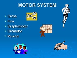 MOTOR SYSTEM Gross Fine Graphomotor Oromotor Musical 