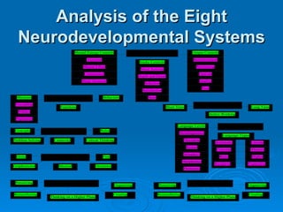 Analysis of the Eight Neurodevelopmental Systems 