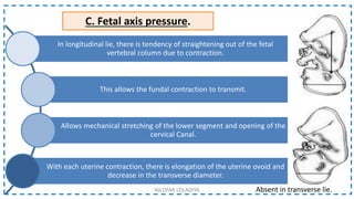 C. Fetal axis pressure.
In longitudinal lie, there is tendency of straightening out of the fetal
vertebral column due to contraction.
This allows the fundal contraction to transmit.
Allows mechanical stretching of the lower segment and opening of the
cervical Canal.
With each uterine contraction, there is elongation of the uterine ovoid and
decrease in the transverse diameter.
Absent in transverse lie.
NILOFAR LOLADIYA
 