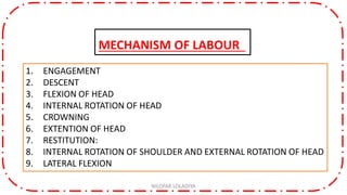 1. ENGAGEMENT
2. DESCENT
3. FLEXION OF HEAD
4. INTERNAL ROTATION OF HEAD
5. CROWNING
6. EXTENTION OF HEAD
7. RESTITUTION:
8. INTERNAL ROTATION OF SHOULDER AND EXTERNAL ROTATION OF HEAD
9. LATERAL FLEXION
NILOFAR LOLADIYA
MECHANISM OF LABOUR
 