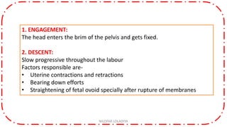 1. ENGAGEMENT:
The head enters the brim of the pelvis and gets fixed.
2. DESCENT:
Slow progressive throughout the labour
Factors responsible are-
• Uterine contractions and retractions
• Bearing down efforts
• Straightening of fetal ovoid specially after rupture of membranes
NILOFAR LOLADIYA
 