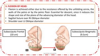 3. FLEXION OF HEAD:
• Flexion is achieved either due to the resistance offered by the unfolding cervix, the
walls of the pelvis or by the pelvic floor. Essential for descent, since it reduces the
shape and size of the plane of the advancing diameter of the head.
• Sagittal Suture over Rt Oblique diameter
• Shoulder over Lt Oblique diameter
NILOFAR LOLADIYA
Subocciputo Frontal
(10 cm)
Subocciputo Bregmatic
(9.5cm)
 