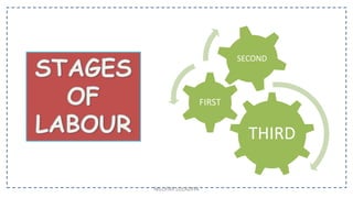 THIRD
FIRST
SECOND
NILOFAR LOLADIYA
 