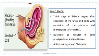 THIRD STAGE:
• Third stage of labour begins after
expulsion of the fetus and ends with
expulsion of the placenta and
membranes (after-births).
• Duration: 15 minutes in both
primigravidae and multiparae.
• Active management: 5Minutes
NILOFAR LOLADIYA
 