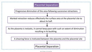 Placental Separation
Progressive diminution of the area following successive retractions
Marked retraction reduces effectively the surface area at the placental site to
about its half.
As the placenta is inelastic, it cannot keep pace with such an extent of diminution
resulting in its buckling.
A shearing force is instituted between the placenta and the placental site
Placental Separation
 