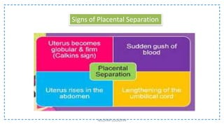 NILOFAR LOLADIYA
Signs of Placental Separation
 
