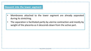 • Membranes attached to the lower segment are already separated
during its stretching.
• The separation is facilitated partly by uterine contraction and mostly by
weight of the placenta as it descends down from the active part.
NILOFAR LOLADIYA
Descent into the lower segment
 