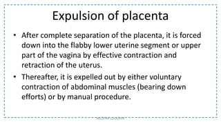Expulsion of placenta
• After complete separation of the placenta, it is forced
down into the flabby lower uterine segment or upper
part of the vagina by effective contraction and
retraction of the uterus.
• Thereafter, it is expelled out by either voluntary
contraction of abdominal muscles (bearing down
efforts) or by manual procedure.
NILOFAR LOLADIYA
 