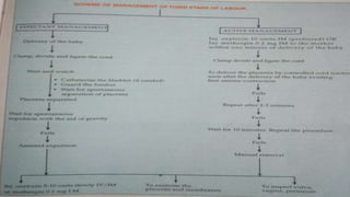 Clinical course of third stage of
labour:-
NILOFAR LOLADIYA
 