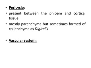 • Pericycle:
• present between the phloem and cortical
tissue
• mostly parenchyma but sometimes formed of
collenchyma as Digitalis
• Vascular system:
 