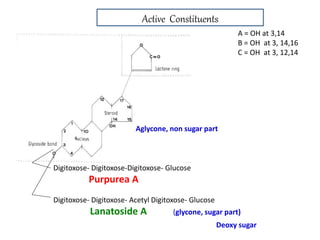 Digitoxose- Digitoxose-Digitoxose- Glucose
Purpurea A
Digitoxose- Digitoxose- Acetyl Digitoxose- Glucose
Lanatoside A (glycone, sugar part)
A = OH at 3,14
B = OH at 3, 14,16
C = OH at 3, 12,14
Aglycone, non sugar part
Deoxy sugar
Active Constituents
 