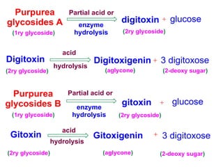 Purpurea
glycosides A digitoxin
Partial acid or
enzyme
hydrolysis
glucose
(1ry glycoside) (2ry glycoside)
Digitoxin
(2ry glycoside)
acid
hydrolysis
3 digitoxose
(2-deoxy sugar)(aglycone)
Purpurea
glycosides B gitoxin
Partial acid or
enzyme
hydrolysis
glucose
(1ry glycoside) (2ry glycoside)
Gitoxin
(2ry glycoside)
acid
hydrolysis
3 digitoxose
(2-deoxy sugar)(aglycone)
Digitoxigenin
Gitoxigenin
 
