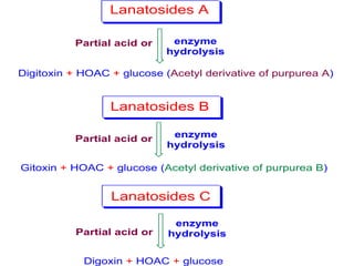 Digitoxin + HOAC + glucose (Acetyl derivative of purpurea A)
Lanatosides A
Partial acid or enzyme
hydrolysis
Gitoxin + HOAC + glucose (Acetyl derivative of purpurea B)
Lanatosides B
Partial acid or enzyme
hydrolysis
Digoxin + HOAC + glucose
Lanatosides C
Partial acid or
enzyme
hydrolysis
 