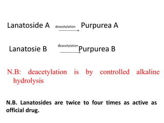 Lanatoside A deacetylation Purpurea A
Lanatosie B Purpurea B
N.B: deacetylation is by controlled alkaline
hydrolysis
deacetylation
N.B. Lanatosides are twice to four times as active as
official drug.
 