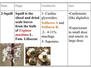 Name Origin Constituents Uses
2-Squill Squill is the
sliced and dried
scale leaves
from the bulb
of Urginea
maritima L.
Fam. Liliaceae
1- Cardiac
glycosides;
Scillaren A and
Scillaren B.
2- 4-11%
mucilage
3- Saponins.
•Cardiotonic
(like digitalis).
•Expectorant
in small dose
and emetic in
large dose.
 