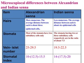 Microscopiocal differences between Alexandrian
and Indian senna
Indian sennaAlexandrian
senna
Item
Less numerous. The average
distance between each is
about six epidermal cells
More numerous. The
average distance between
each is about three
epidermal cells.
Hairs
The stomata having two or
three subsidiary cells
respectively are in the ratio
of about 7:3
Most of the stomata have two
subsidiary cells only
Stomata
19.5-22.525-29.5Vein- islet
number
14-(17.5)-2010-(12.5)-15.5Stomatal
index
 