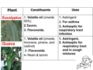 4/25/2017 95
UsesConstituentsPlant
1. Astringent
2. For asthma
3. Antiseptic for
respiratory tract
infection
1. Volatile oil (cineole
50%)
2.Tannin.
3. Flavonoids.
Eucalyptus
1. Astringent,
2. Antiseptic for
respiratory tract
and in cough
mixtures
1. Volatile oil (cineole,
limonene, pinene, and
cadinol)
2- Flavonoids
4- Resin & tannin
Guava
 