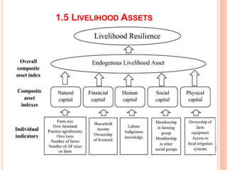 1.5 LIVELIHOOD ASSETS
 