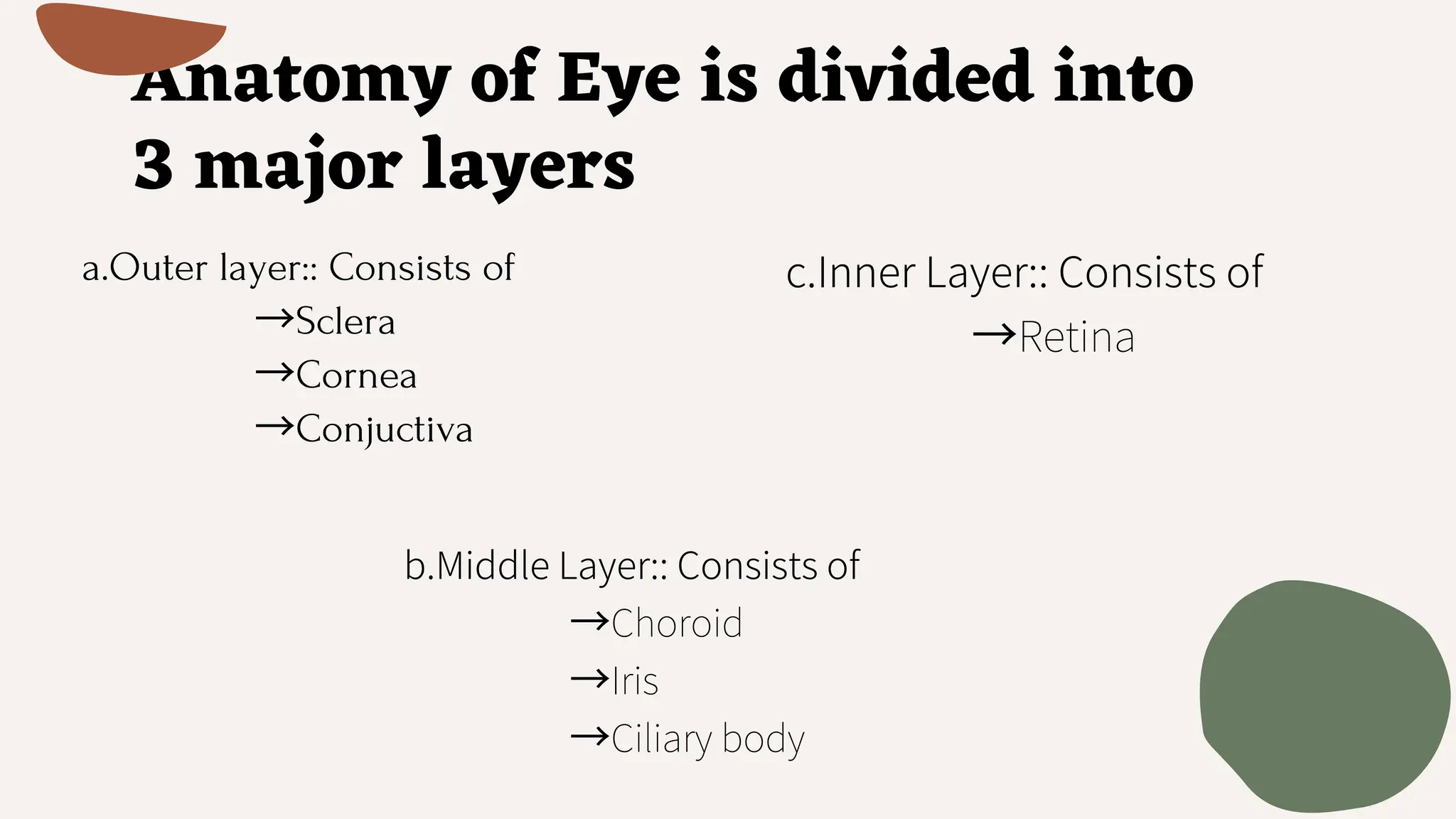 Anatomy of Eye is divided into
3 major layers
a.Outer layer:: Consists of
→Sclera
→Cornea
→Conjuctiva
c.Inner Layer:: Consists of
→Retina
b.Middle Layer:: Consists of
→Choroid
→Iris
→Ciliary body
 