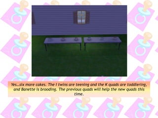 Yes…six more cakes. The I twins are teening and the K quads are toddlering,
and Banette is brooding. The previous quads will help the new quads this
time.
 