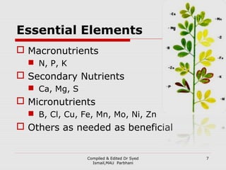 Compiled & Edited Dr Syed
Ismail,MAU Parbhani
Essential Elements
 Macronutrients
 N, P, K
 Secondary Nutrients
 Ca, Mg...