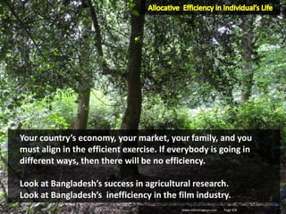 Your country’s economy, your market, your family, and you
must align in the efficient exercise. If everybody is going in
different ways, then there will be no efficiency.
Look at Bangladesh’s success in agricultural research.
Look at Bangladesh’s inefficiency in the film industry.
www.nahinmamun.com Page 4/8
 