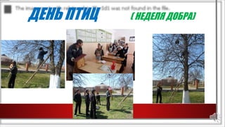 ДЕНЬ ПТИЦ ( НЕДЕЛЯ ДОБРА)
 