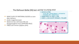 Comprehensive Guide to Alloimmunisation in Pregnancy: Diagnosis ...
