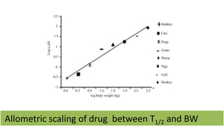 Interspecies difference between PK
phase
 