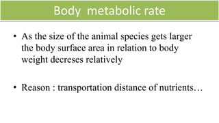• Absorption of lipophilic compounds is greater in dog
• Belladona is not toxic to rabbit
• Morphine produces CNS excitation in cats
• Absorption of orally administered drugs is faster in
monogastric animals
Species differences (size independent)
 
