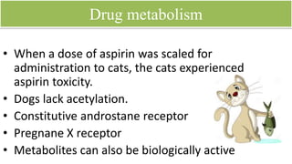 Drug elimination
• Compounds with molecular wt exceeding 350
with amphipathic structures or which
undergo conjugation reaction are excreted in
the bile.
 