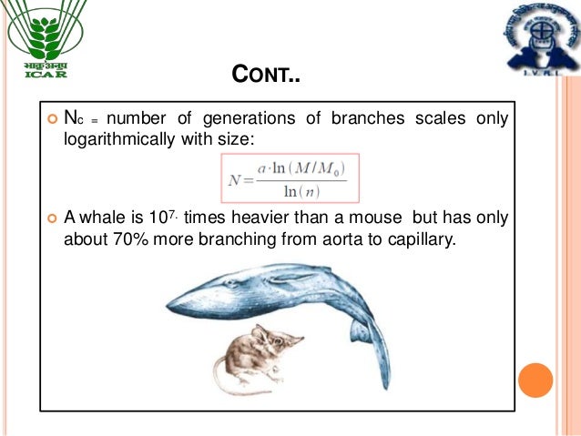 Applications of allometric principles in animal nutrition nresearch