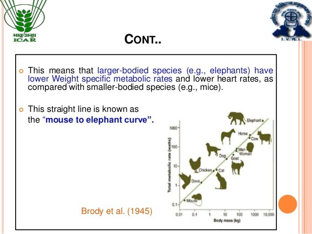 Applications of allometric principles in animal nutrition nresearch