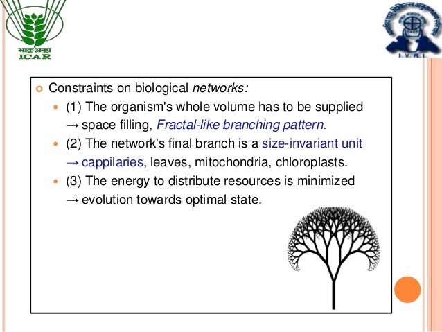 Applicatiojns of Allometric principles in animal nutrition research