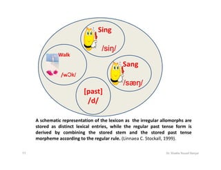 Sing

                                   /siŋ/
                                    siŋ/
               Walk
                                             Sang
                /wƆk/
                  Ɔk/
                  Ɔk
                                             /sӕŋ/
                                             /sӕ
                           [past]
                            /d/

     A schematic representation of the lexicon as the irregular allomorphs are
     stored as distinct lexical entries, while the regular past tense form is
     derived by combining the stored stem and the stored past tense
     morpheme according to the regular rule. (Linnaea C. Stockall, 1999).

11                                                                Dr. Shadia Yousef Banjar
 