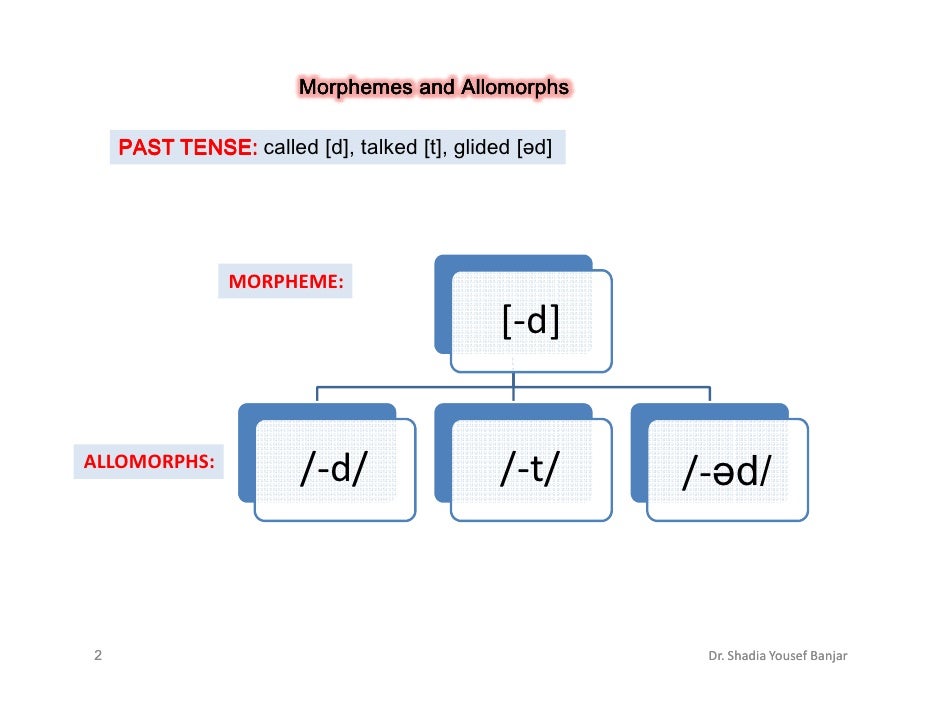 allomorphs dr shadia yousef banjar allomorph