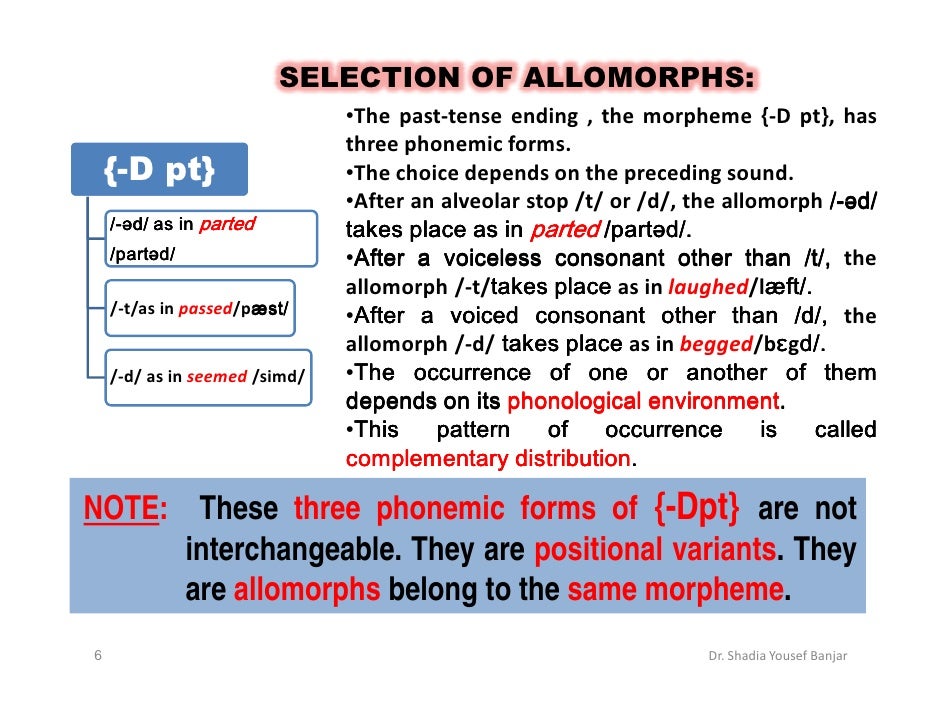 allomorphs dr shadia yousef banjar allomorph