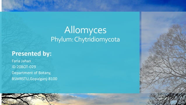Allomyces classification,Introduction,Life Cycle.pdf