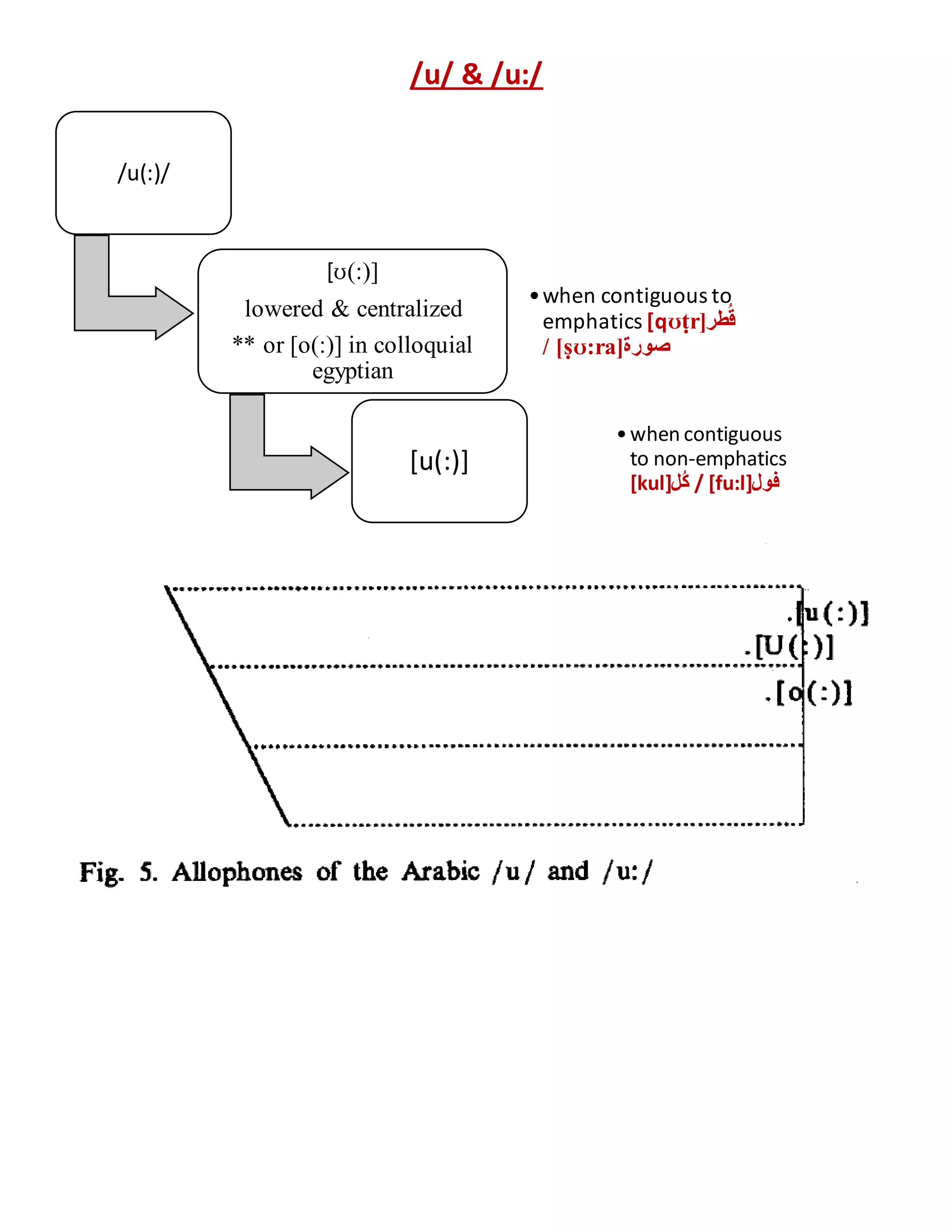 Allophones of arabic PDF