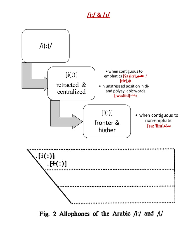 Allophones of arabic PDF