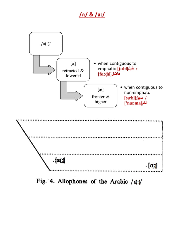 Allophones of arabic