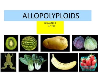 ALLOPOLYPLOID ALLOPOLYPLOIDS 
Group No 3 
4TH (D) 
 