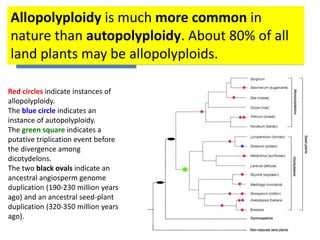 Allopolyploid | PPTX