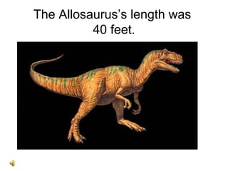 The Allosaurus’s length was
          40 feet.
 